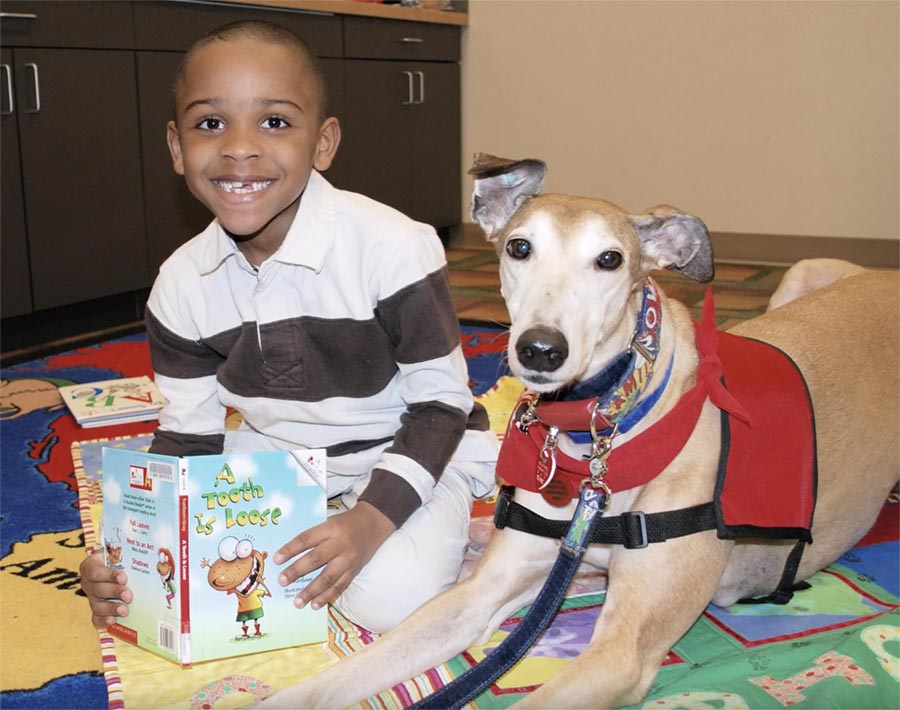 Reading Education Assistance Dogs - boy with greyhound