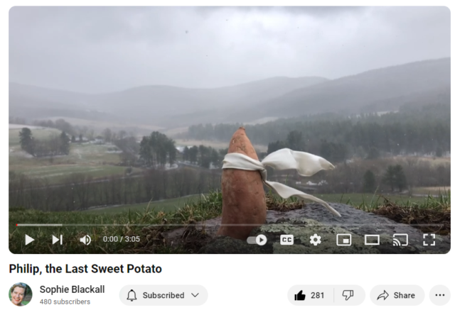 Sophie Blackall - Sweet Potato